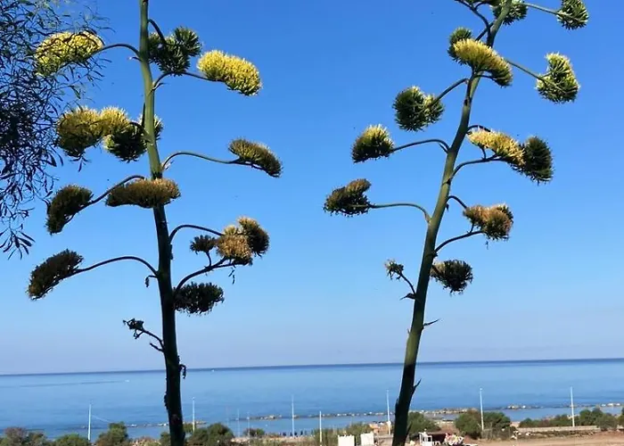 Casa Rituzza 圣莱昂